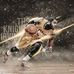 Gavin Sears - Facebook