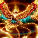 Gavin Sell - @fire_bird07 - Instagram