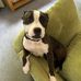 Gavin Sewart - Facebook