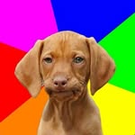 gavin - @gavinsewell9 - Instagram