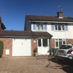 Gavin Sharp - @sharps_renovation - Instagram