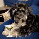 Gavin Shepherd - @gavin_shepherd_ - Instagram