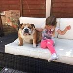 Gavin Shepherd - @shepherdgavin1 - Instagram