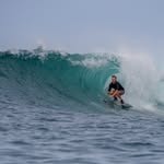 Gavin Shepherd - @gavshepherd - Instagram