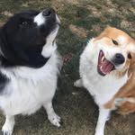 Gavin Shipman - @gavin.shipman - Instagram