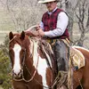 Gavin Schuman - @havehorse.willtravel - TikTok