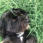 Gavin Silva - @imaepicgamer567 - Instagram