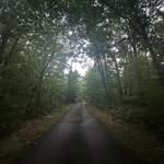 Gavin Simmons - @gavinsimmons62 - Instagram
