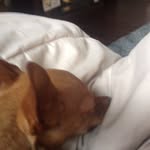 Gavin Simmons - @gavinsimmons2005 - Instagram