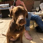 Gavin Simmons - @jamsg12357 - Instagram