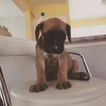 Gavin sinclair - @someoneyouaint_gavin - Instagram