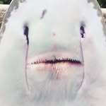Gavin Skinner - @gavinator819 - Instagram