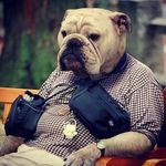 Gavin Slater - @slater.gavin - Instagram