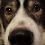 Gavin Small - @gavin.small - Instagram