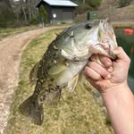 Gavin.small - @gavin_small07 - Instagram