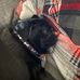Gavin Snyder - Facebook
