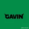 Gavinsolis - @gavinsolis - TikTok