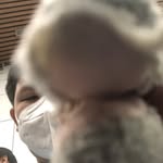Gavin and spaini - @gavinandspaini - Instagram