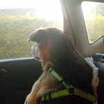 Gavin Spicer - @spicergavin82025 - Instagram