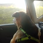 Gavin Spicer - Facebook