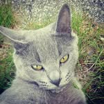 Gavin Spicer - @gavin_tyler_spicer - Instagram