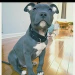Gavin Spivey - @gavin_spivey03 - Instagram