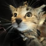 Gavin spivey - @gavin_spivey11 - Instagram