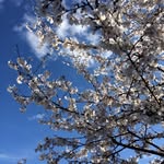 Gavin Starr - @gavinstarrphotography - Instagram