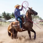 Gavin Steckler - @steckler.gavin - Instagram