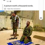 Gavin Stein - Facebook