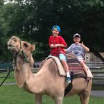 Gavin Stein - @gstein_13 - Instagram