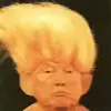 Gavin steiny - @gavin.steinboogie - TikTok