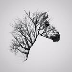 Gavin Steiner - @steiner_gavin - Instagram