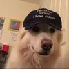 gavinsteinke6 - @g017997 - TikTok