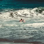 G dog_07 - @easterlinggavin - Instagram