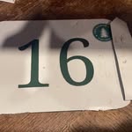 Gavin Sterling - @gavinsterling6 - Instagram