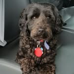 gavin stevenson - @gavinstevenson53 - Instagram