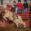 Gavin Stevenson - @gavinstevenson17 - TikTok