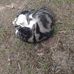 Gavin Stiles - Facebook