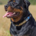 Gavin Stroud - @redcow4783 - Instagram