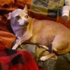 Gavin Stroud - @chatty5604 - TikTok