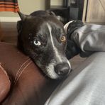Gavin Summers - Facebook