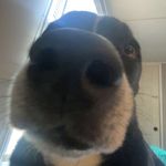 Gavin Summers - @gavin_summerss - Instagram