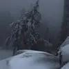 Gavin Winston - @gavin.winston7 - TikTok