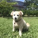 Gavin Sword - @gavinsword - Instagram