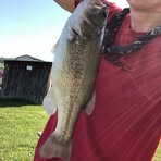 Gavin Sword - Facebook