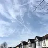 Gavin - @gavin.tang66 - TikTok