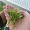 Gavin Tanner - @gavin.tanner - TikTok