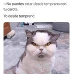 Gavin Tapia Dale - Facebook