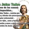 gavinotapia5 - @gavinotapia5 - TikTok